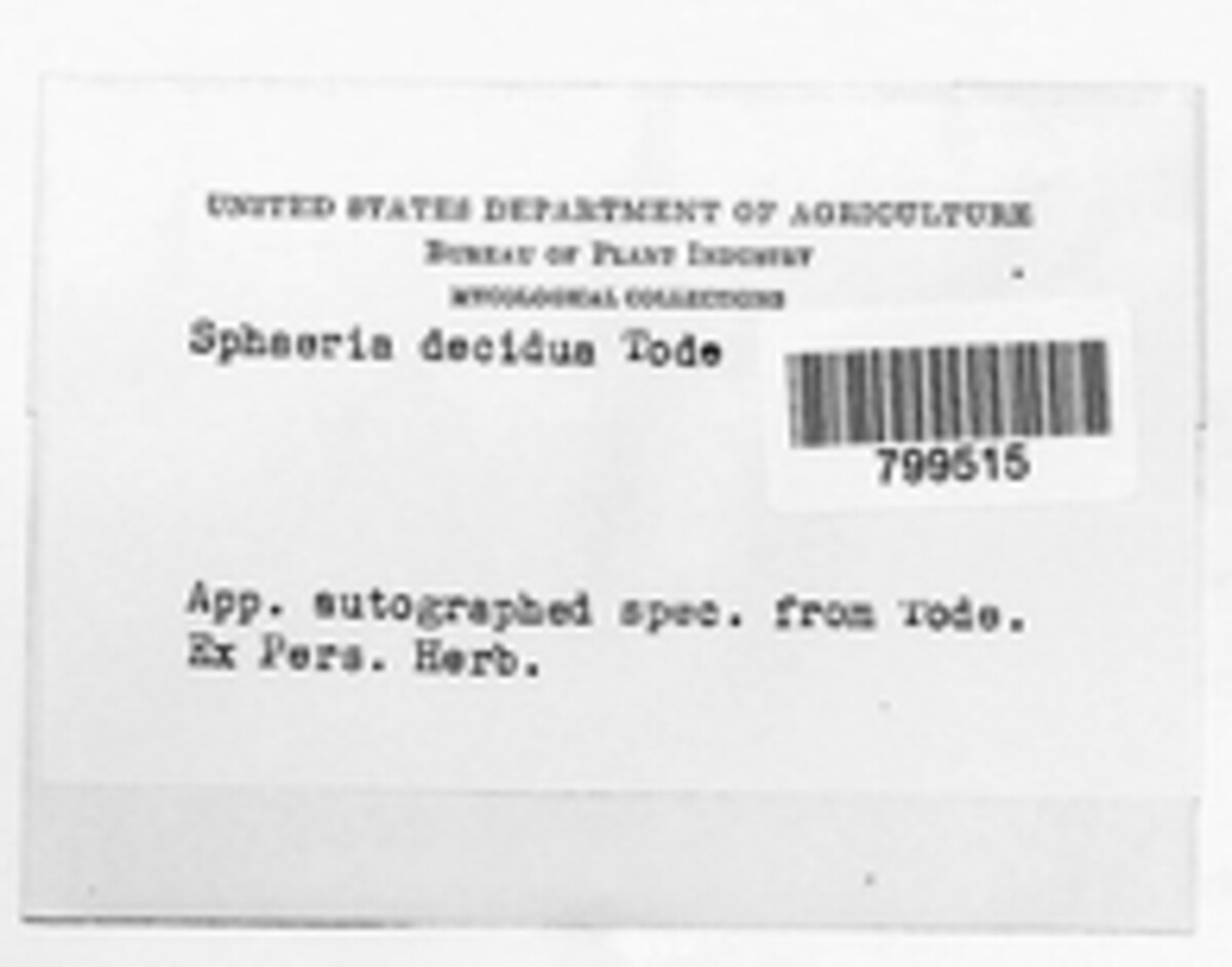 Sphaeria decidua image